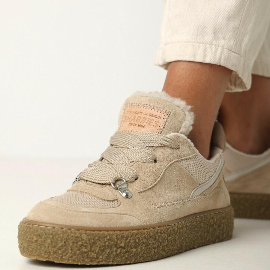 sh001002853w_2504_11