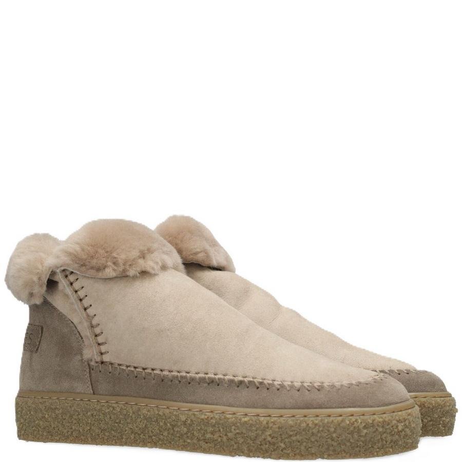 large-SH002200253W_2007_2 (1)