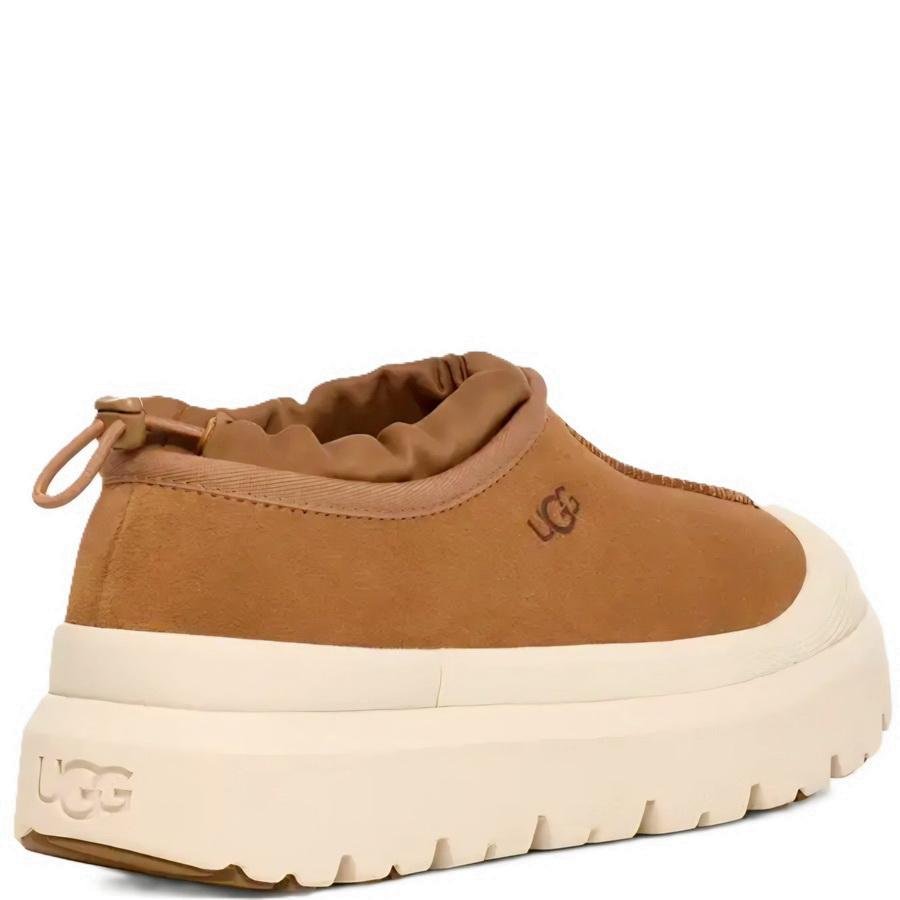 Screenshot_20250903_081205_Samsung Internet