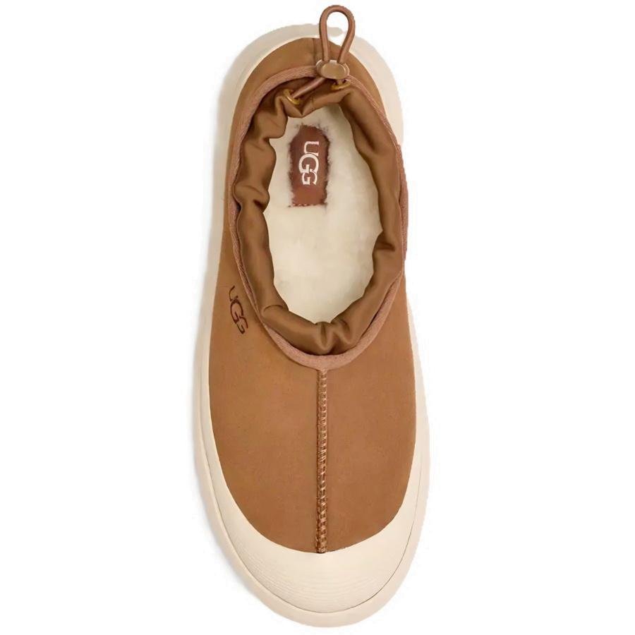 Screenshot_20250903_081209_Samsung Internet