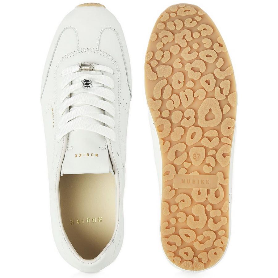 86e59023eda64829b858f31a534b49f0_1920x1920