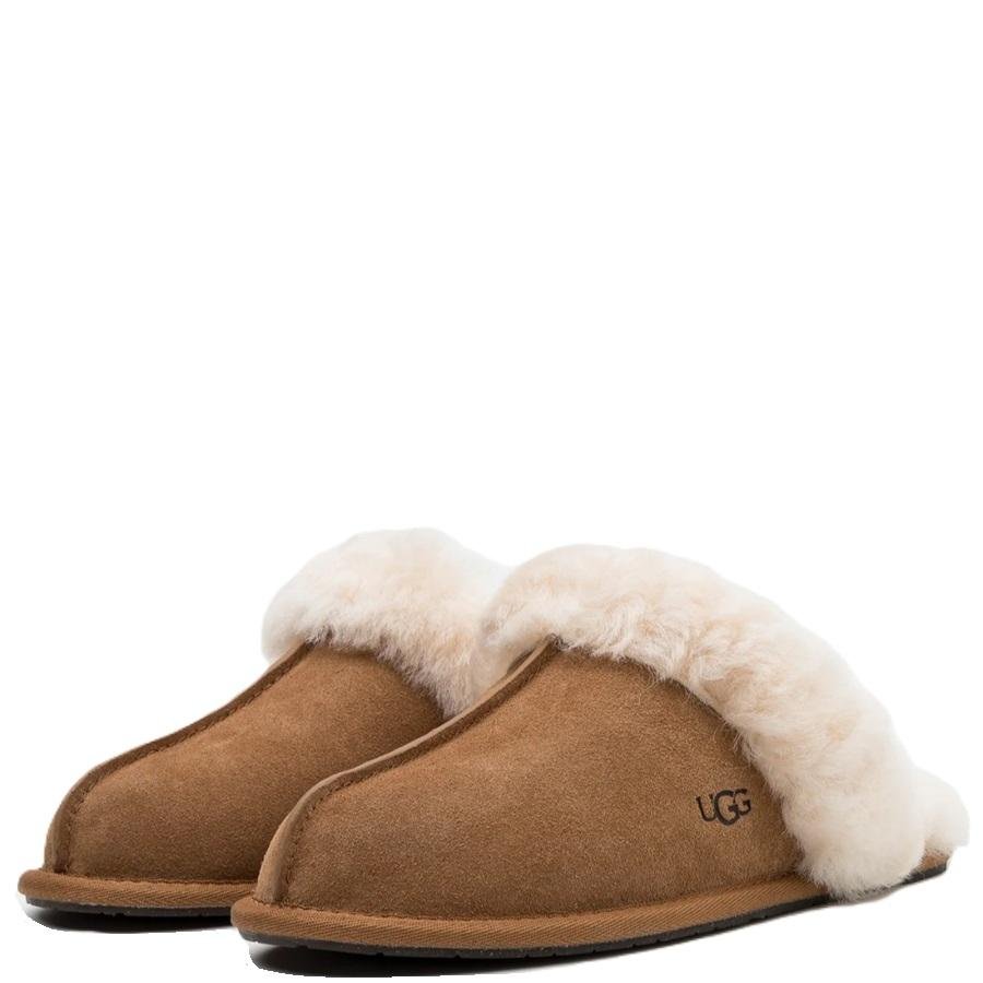 Screenshot_20260107_130717_Samsung Internet