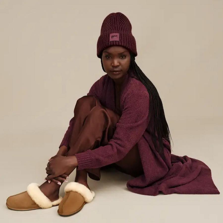 Screenshot_20260107_130827_Samsung Internet