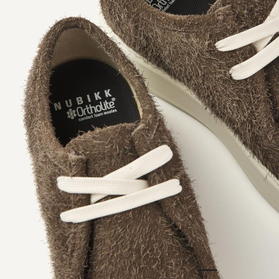 Screenshot_20260131_131213_Samsung Internet