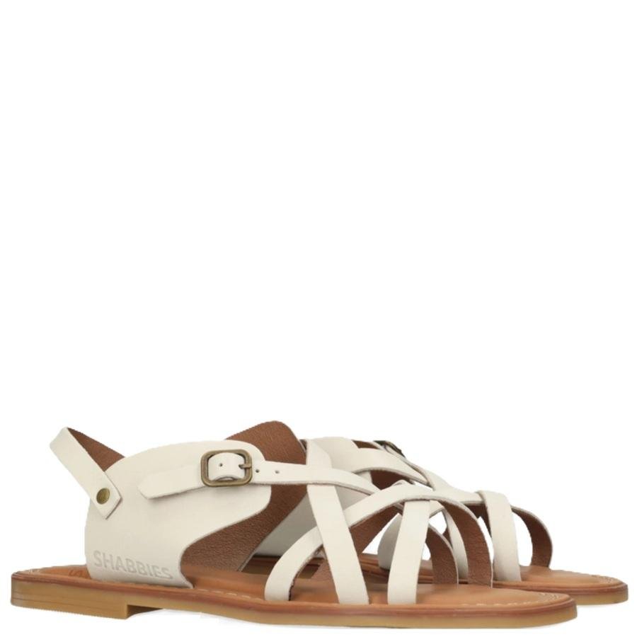 Screenshot_20260227_170714_Samsung Internet