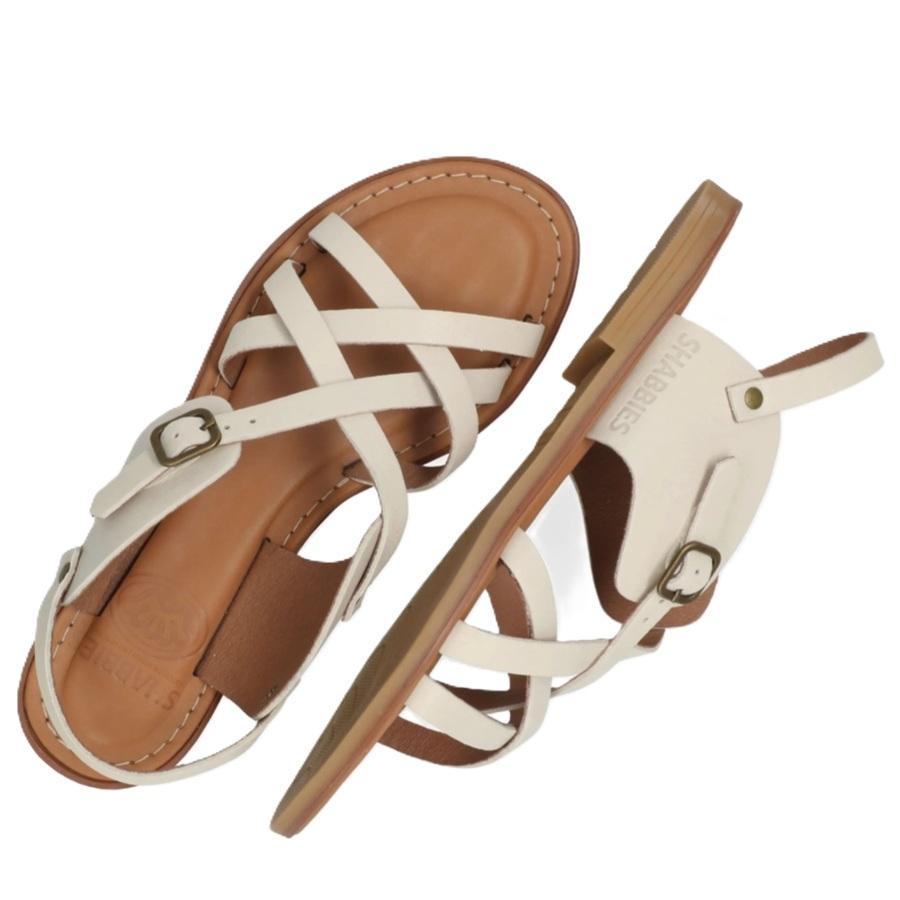 Screenshot_20260227_170732_Samsung Internet