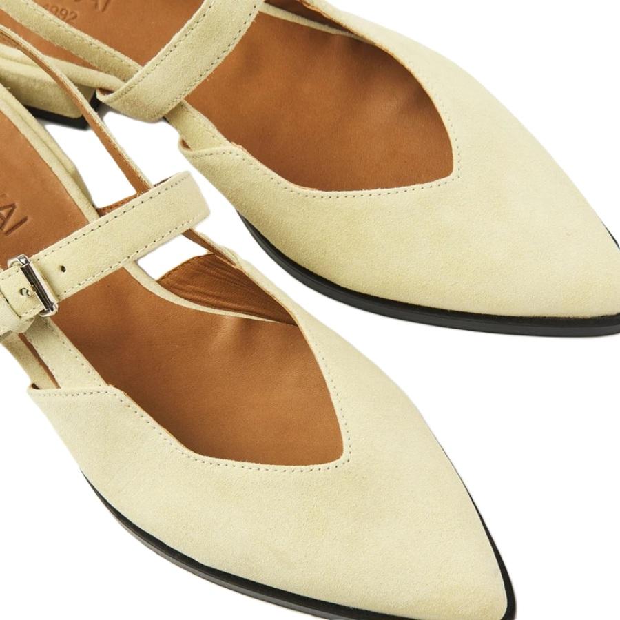 Screenshot_20260305_120425_Samsung Internet