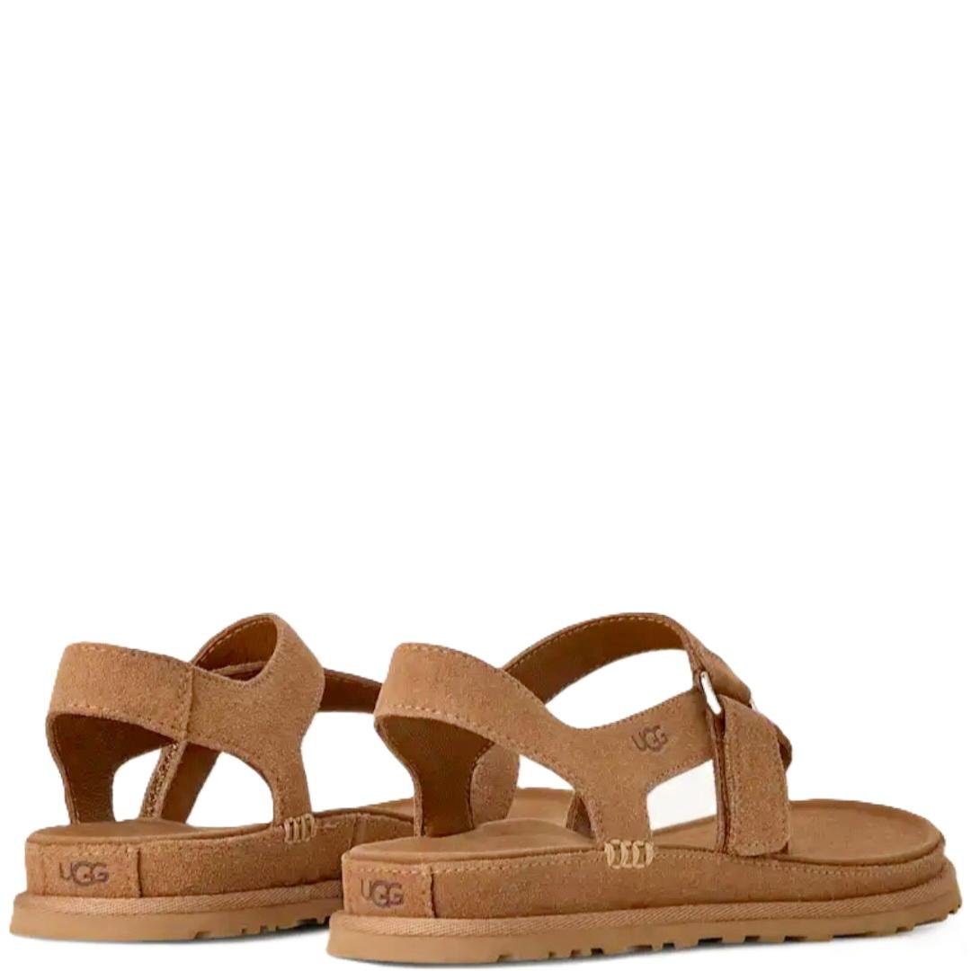 Screenshot_20260316_172045_Samsung Internet