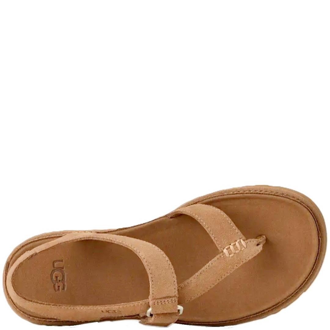 Screenshot_20260316_172050_Samsung Internet